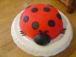 Brian's shed project, a ladybug cake and of course, the girls!